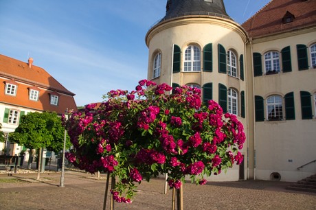 Bad Bergzabern